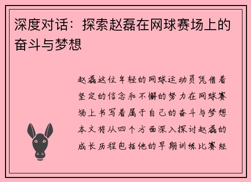 深度对话：探索赵磊在网球赛场上的奋斗与梦想